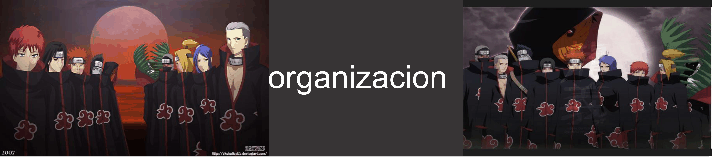 baner de wordpress